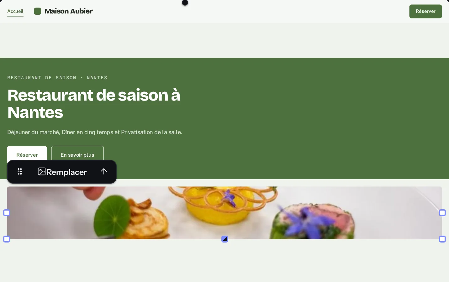 Une image sélectionnée sur le canevas, avec le bouton Remplacer.